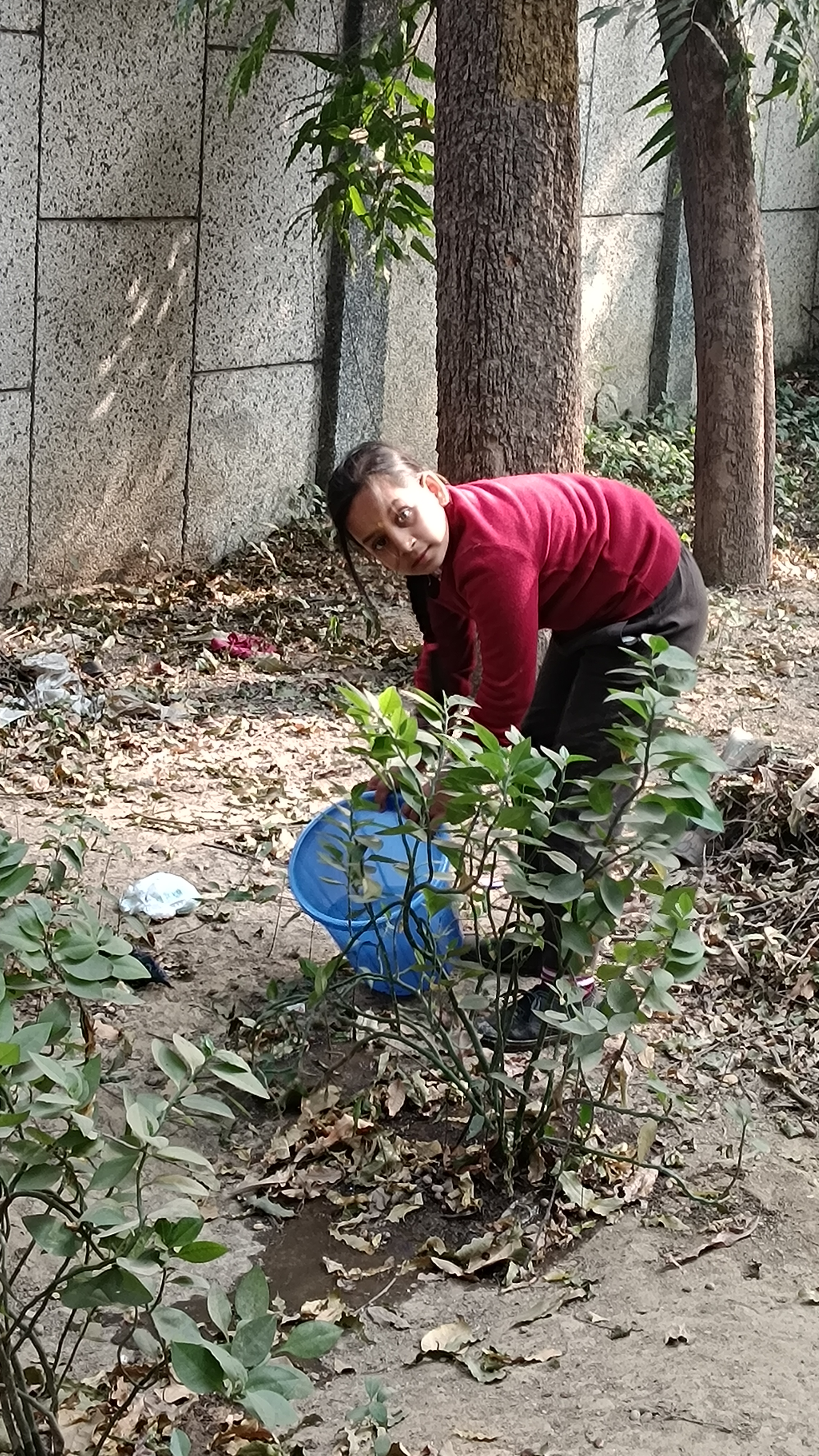 स्कूल में वृक्षारोपण कार्यक्रम