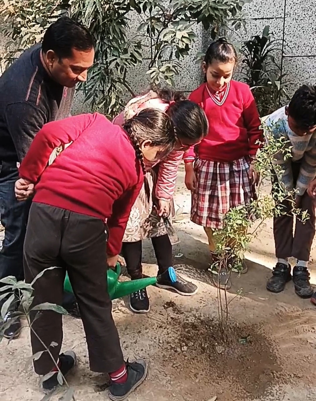 दिल्ली के एक सरकारी विद्यालय में निशुल्क वृक्षारोपण कार्यक्रम